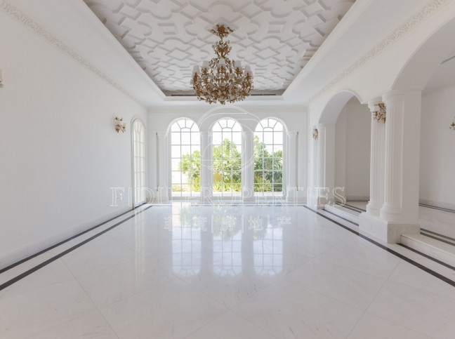 Brand new villa | VIP Frond | ...